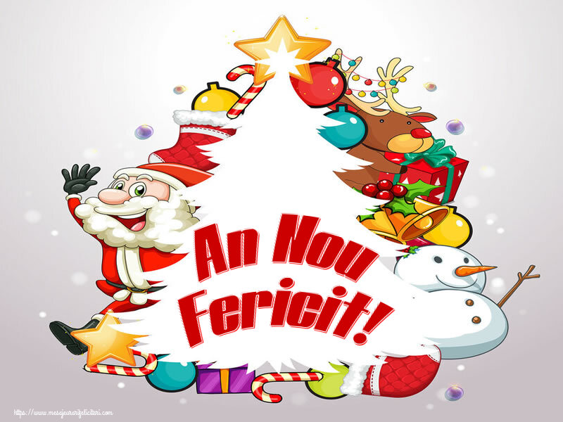 An Nou Fericit!