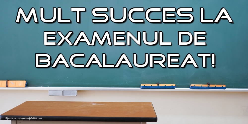 Mult succes la Examenul de Bacalaureat!