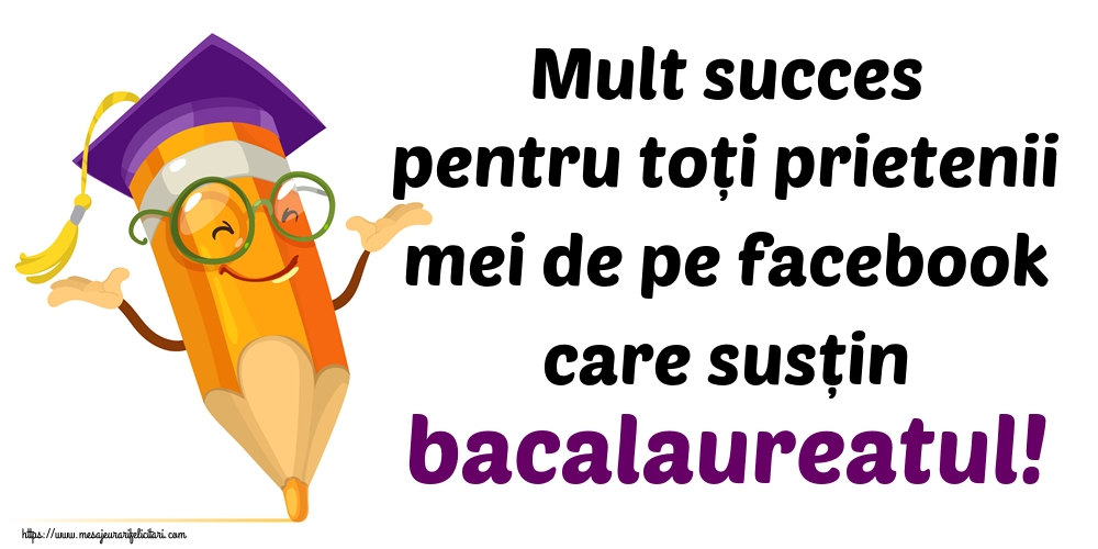 Mult succes pentru toți prietenii mei de pe facebook care susțin bacalaureatul!