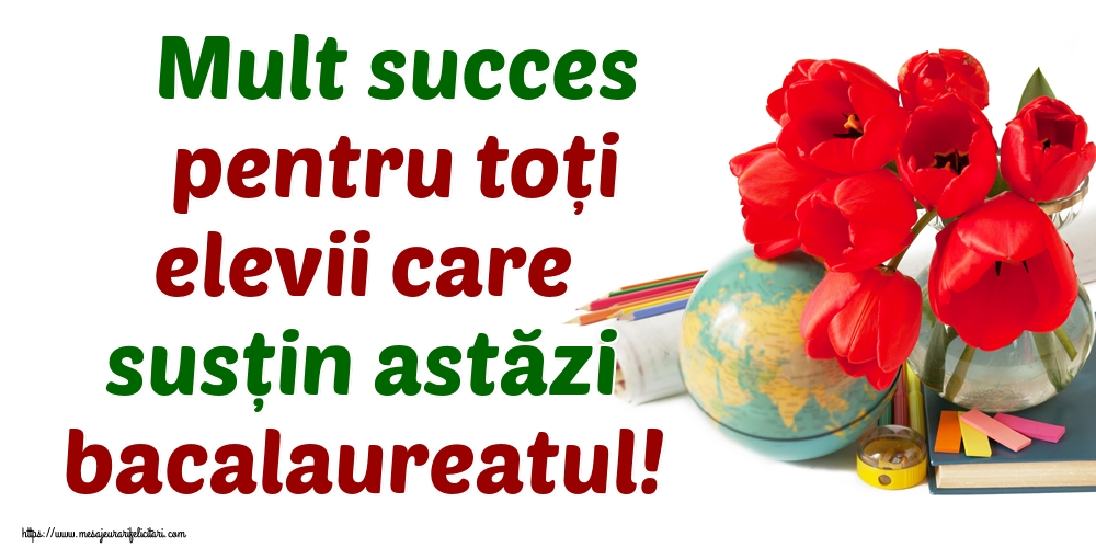 Mult succes pentru toți elevii care susțin astăzi bacalaureatul!