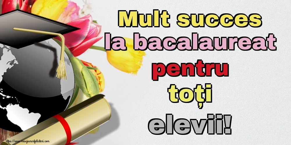 Mult succes la bacalaureat pentru toți elevii!
