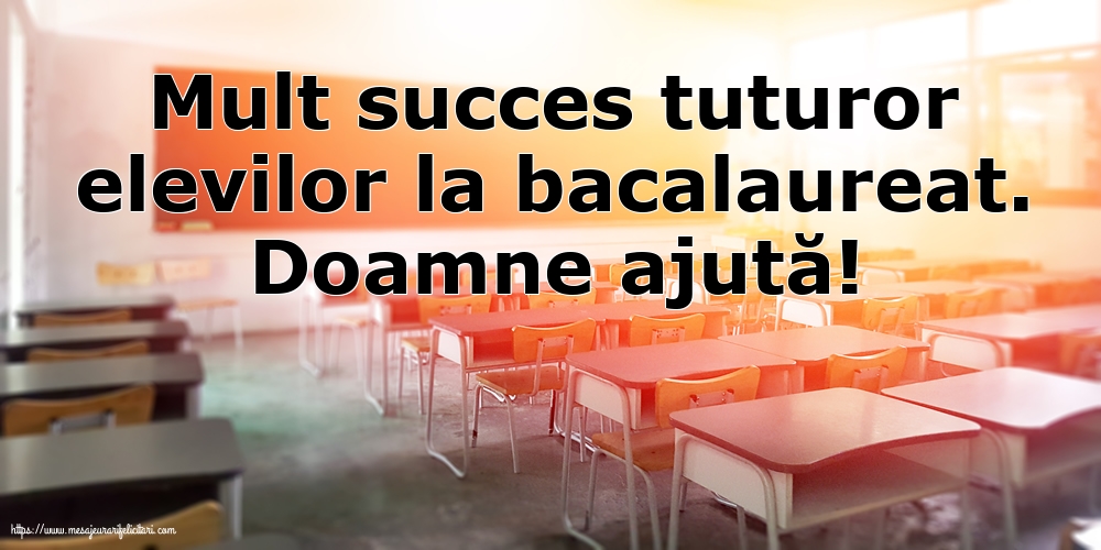 Bacalaureat Doamne ajută!