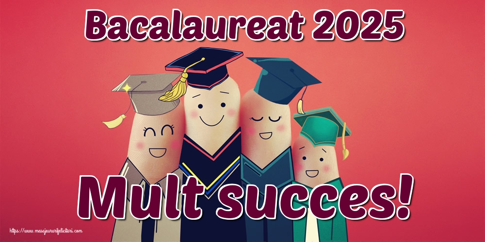 Bacalaureat 2025 Mult succes!