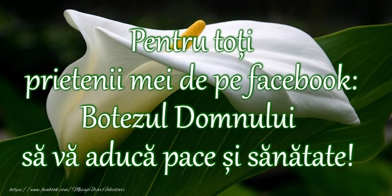 Botezul Domnului sa va aduca pace si sanatate!