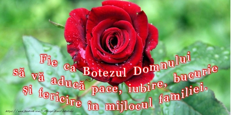 Botezul Domnului sa va aduca pace si sanatate!