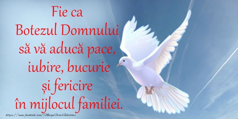 Botezul Domnului sa va aduca pace si sanatate!