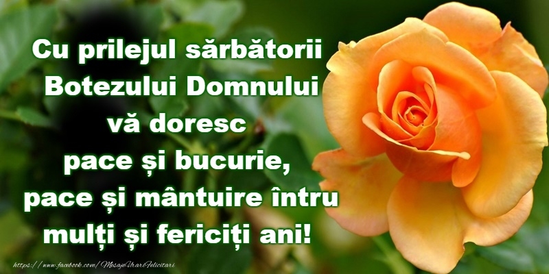 Botezul Domnului sa va aduca pace si sanatate!