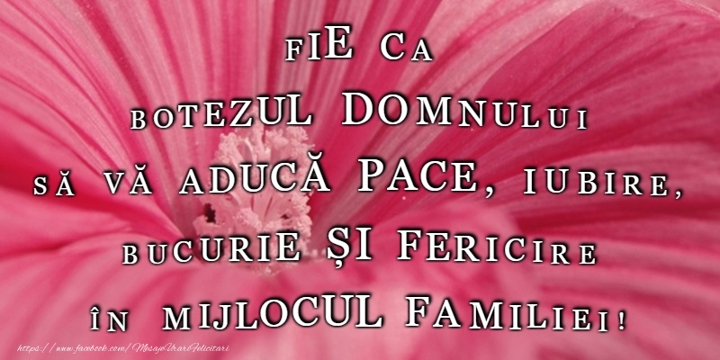 Botezul Domnului sa va aduca pace si sanatate!