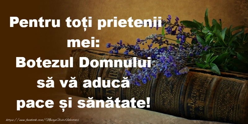 Botezul Domnului sa va aduca pace si sanatate!