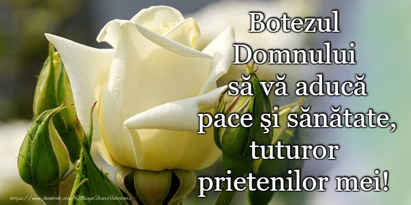 Botezul Domnului sa va aduca pace si sanatate!