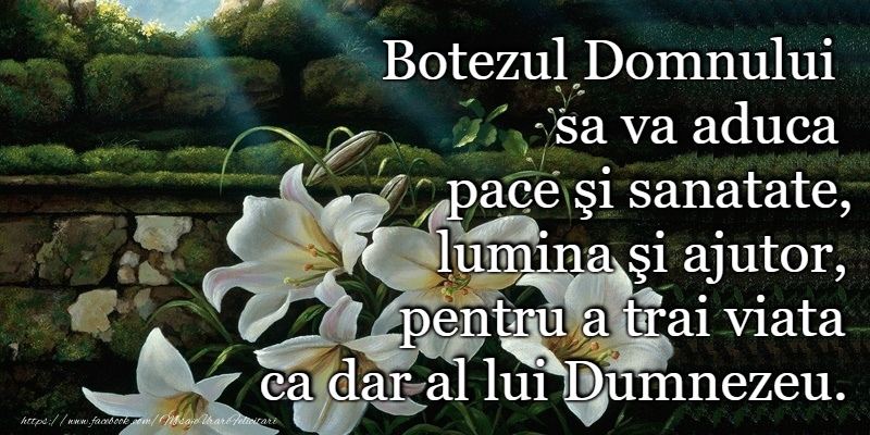 Botezul Domnului sa va aduca pace si sanatate!