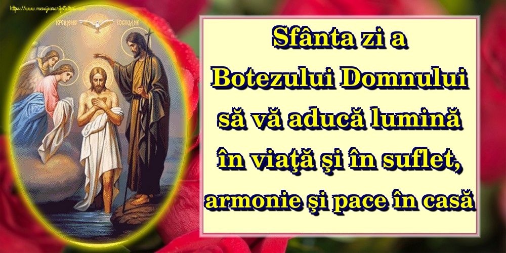 Sfânta zi a Botezului Domnului să vă aducă lumină în viaţă şi în suflet, armonie şi pace în casă