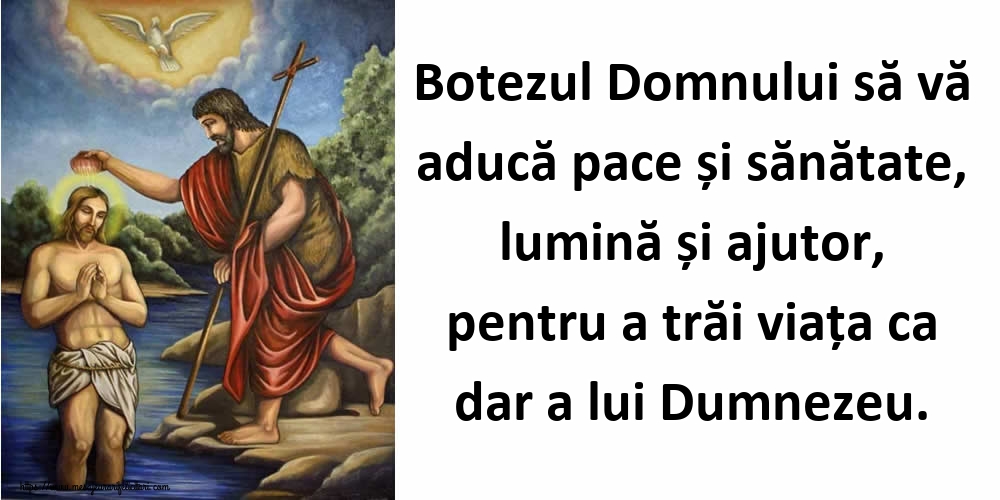 Botezul Domnului să vă aducă pace și sănătate, lumină și ajutor, pentru a trăi viața ca dar a lui Dumnezeu.