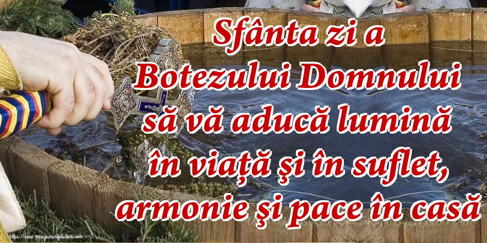 Sfânta zi a Botezului Domnului să vă aducă lumină în viaţă şi în suflet, armonie şi pace în casă