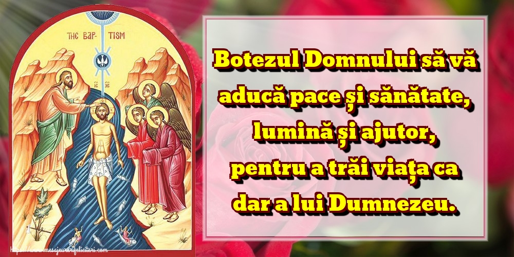 Botezul Domnului să vă aducă pace și sănătate, lumină și ajutor, pentru a trăi viața ca dar a lui Dumnezeu.