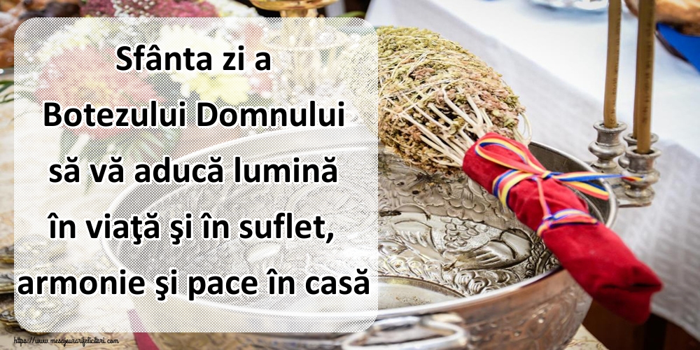 Sfânta zi a Botezului Domnului să vă aducă lumină în viaţă şi în suflet, armonie şi pace în casă