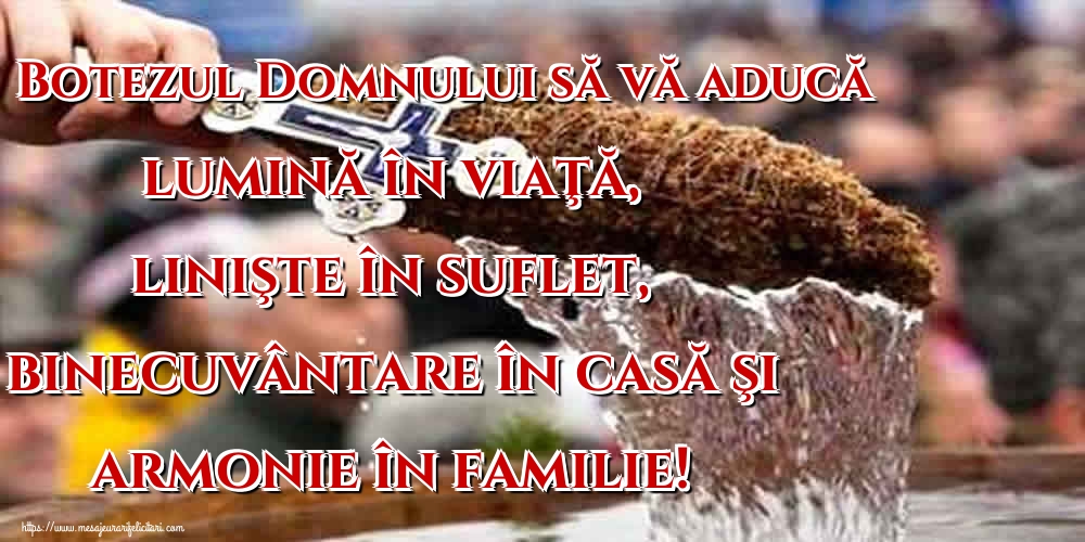 Botezul Domnului să vă aducă lumină în viaţă, linişte în suflet, binecuvântare în casă şi armonie în familie!