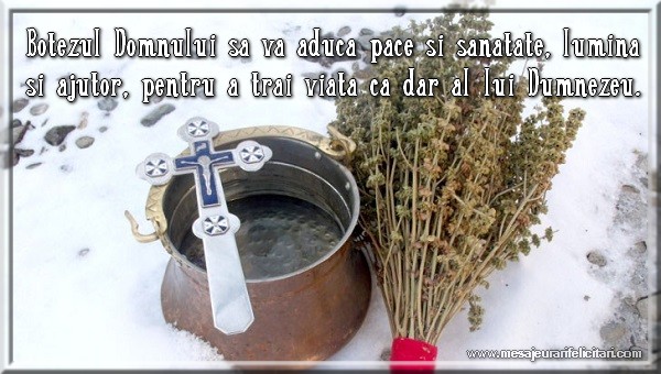 Botezul Domnului să vă aducă pace şi sănătate, lumină şi ajutor, pentru a trăi viaţa ca dar al lui Dumnezeu.