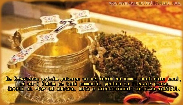 De Boboteaza primim puterea sa ne iubim nu numai unul cate unul, ci sa-i iubim pe toti oamenii, pentru ca fiecare poate deveni un «tu» al nostru. Asta e crestinismul: religia iubirii.