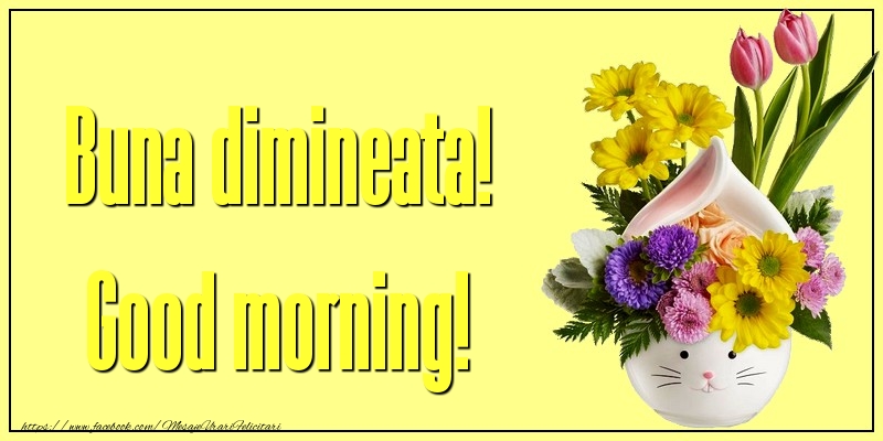 Buna dimineata! Good morning!
