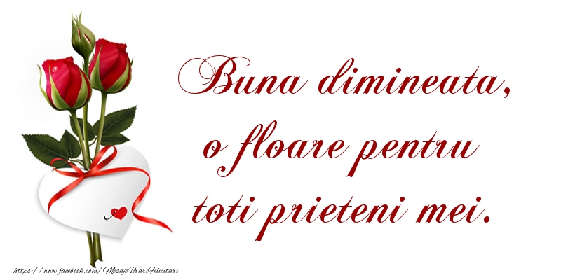 Buna dimineata, o floare pentru toti prieteni mei.
