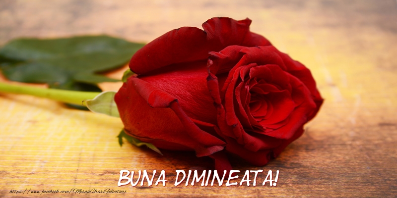Felicitari de buna dimineata - Buna dimineata! - mesajeurarifelicitari.com