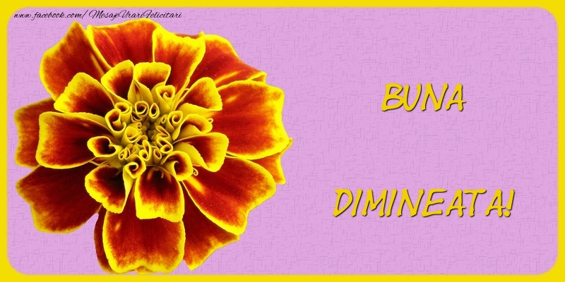 Buna dimineata!