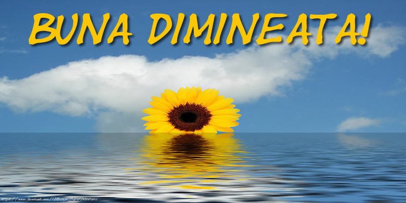 Buna dimineata!