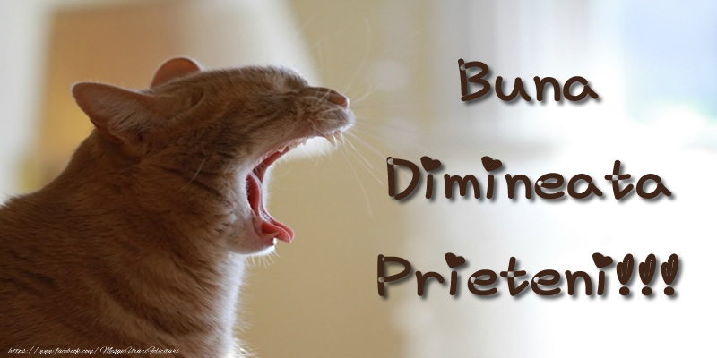 Buna Dimineata Prieteni!!!