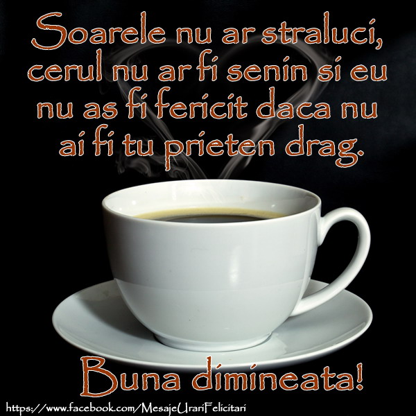 Buna dimineata ! Soarele nu ar straluci, cerul nu ar fi senin si eu nu as fi fericit daca nu ai fi tu prieten drag.
