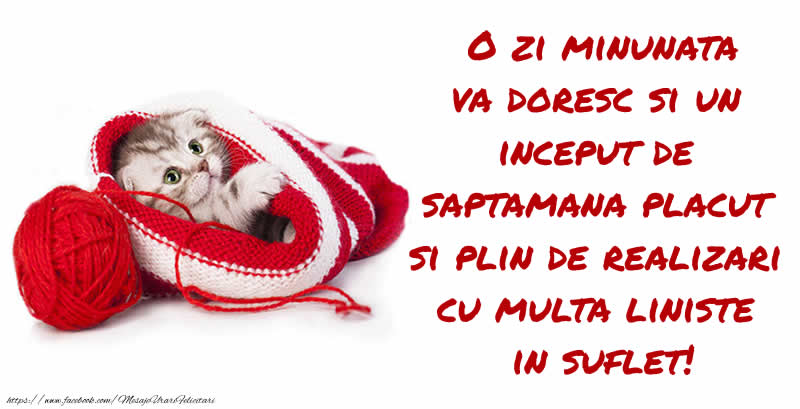 O saptamana plina de realizari!