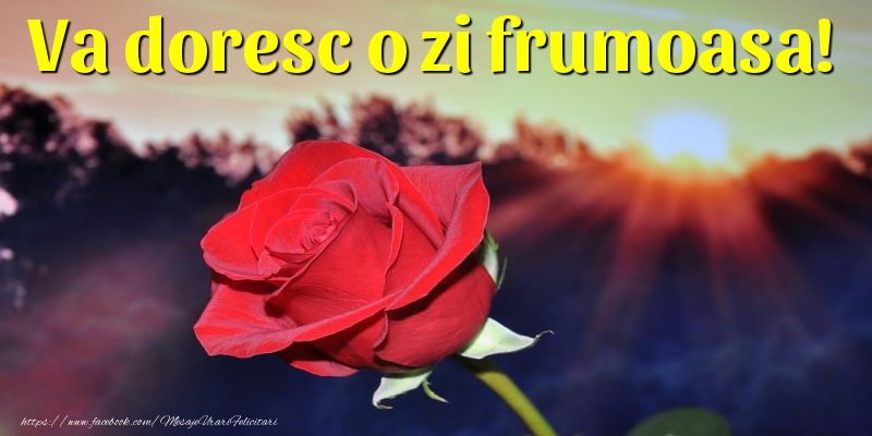 Va doresc o zi frumoasa!