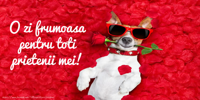 O zi frumoasa pentru toti prietenii mei!