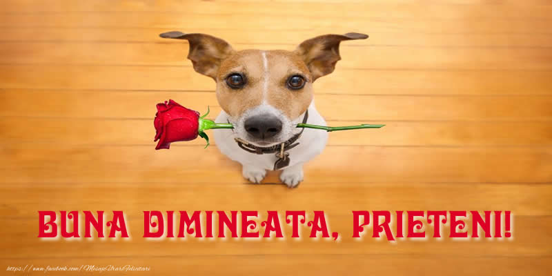 Buna dimineata, prieteni!