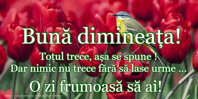 Buna dimineata prieteni!
