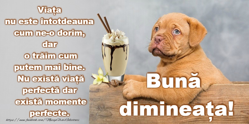 Buna dimineata!