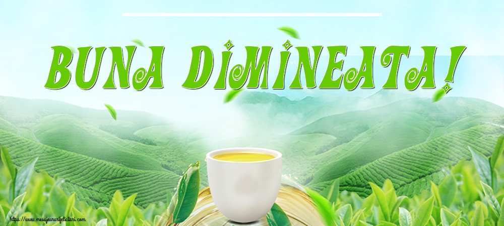 Buna dimineata!