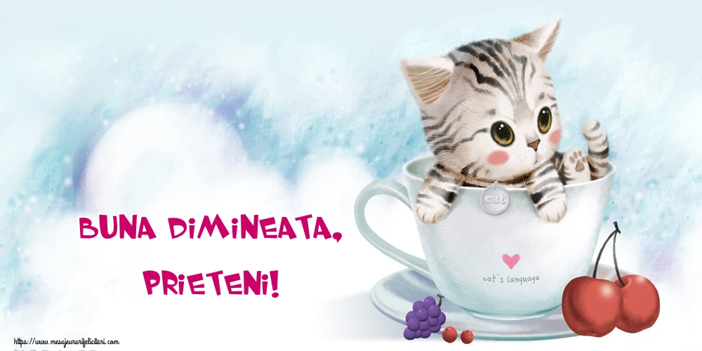 Buna dimineata, prieteni!