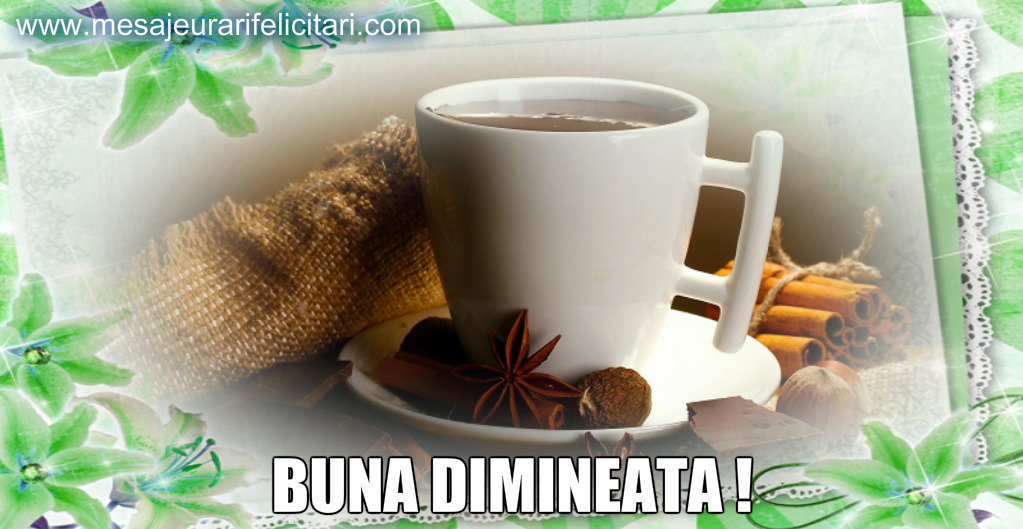 Buna dimineata !