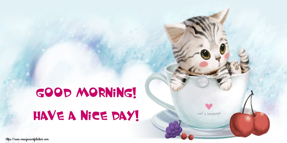 Felicitari de buna dimineata in Engleza - Good Morning! Have a nice day!
