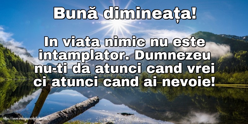 Buna dimineata Bună dimineața!