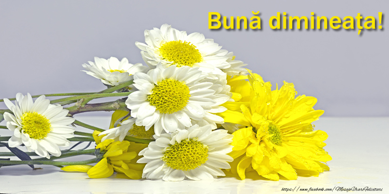 Buna dimineata!