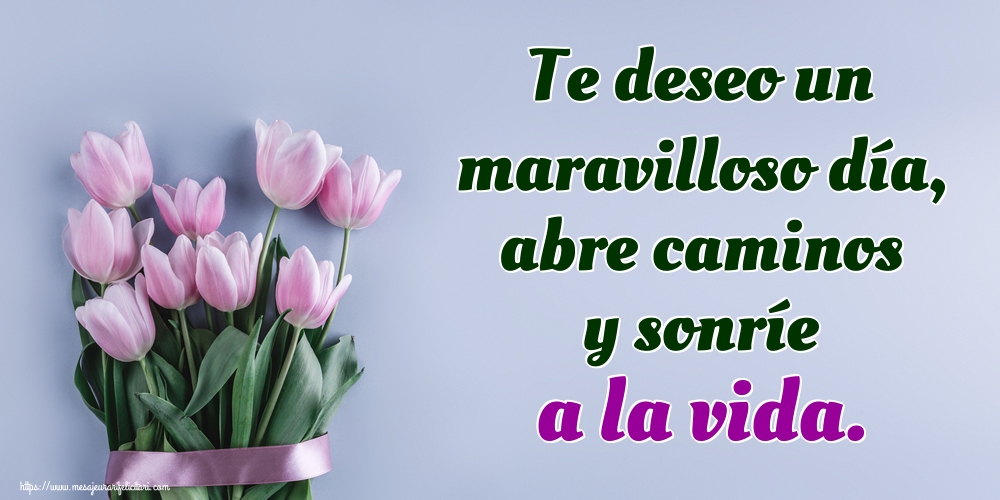 Felicitari de buna dimineata - Te deseo un maravilloso día, abre caminos y sonríe a la vida. - mesajeurarifelicitari.com