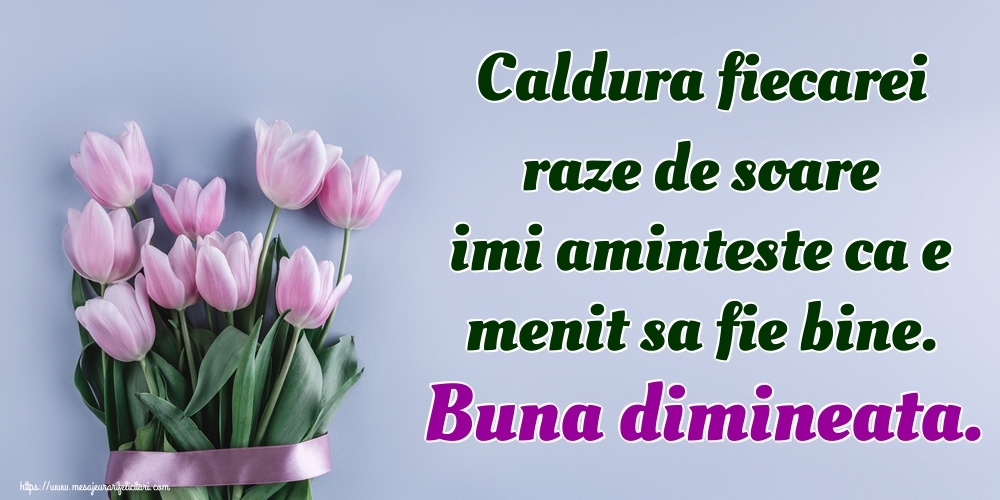 Felicitari de buna dimineata - Caldura fiecarei raze de soare imi aminteste ca e menit sa fie bine. Buna dimineata. - mesajeurarifelicitari.com