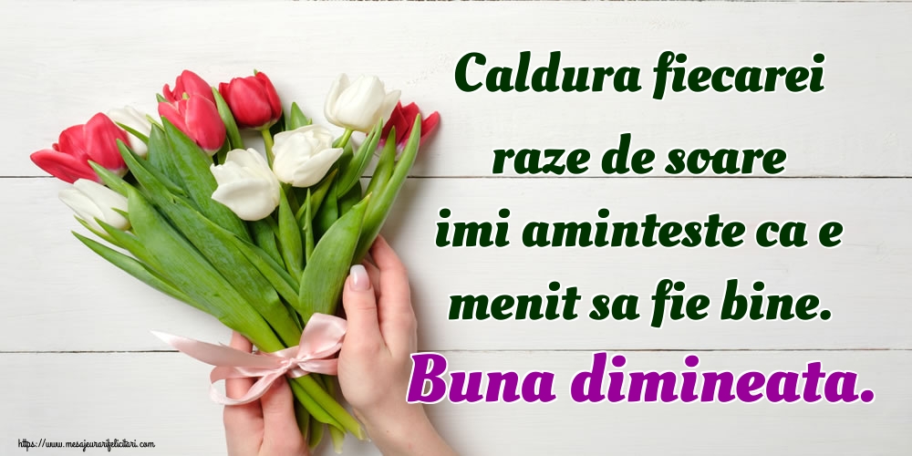 Felicitari de buna dimineata - Caldura fiecarei raze de soare imi aminteste ca e menit sa fie bine. Buna dimineata. - mesajeurarifelicitari.com