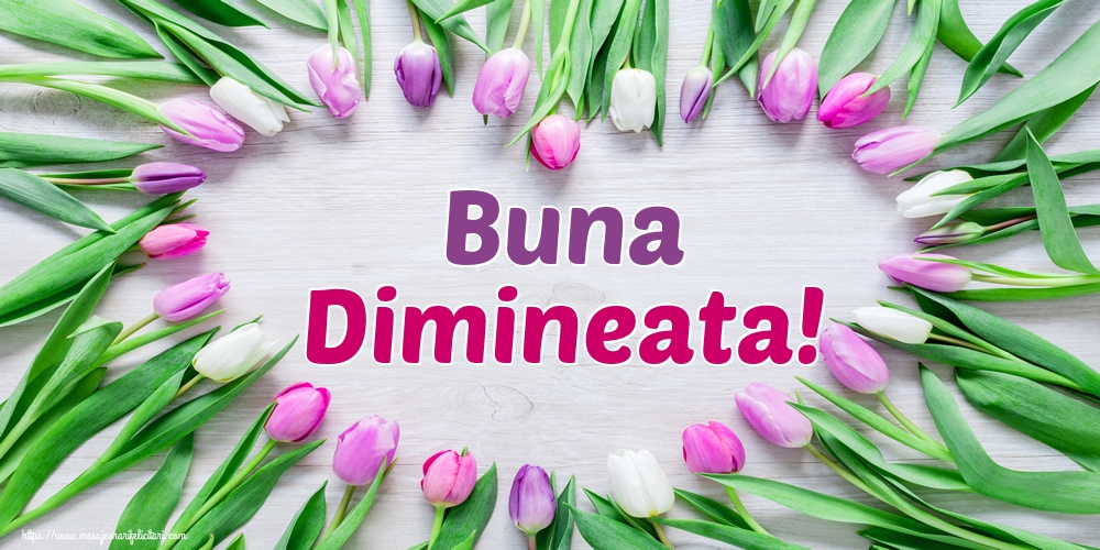 Buna Dimineata!