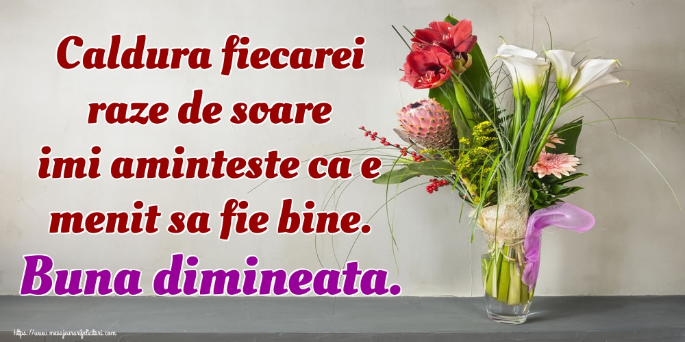 Felicitari de buna dimineata - Caldura fiecarei raze de soare imi aminteste ca e menit sa fie bine. Buna dimineata. - mesajeurarifelicitari.com
