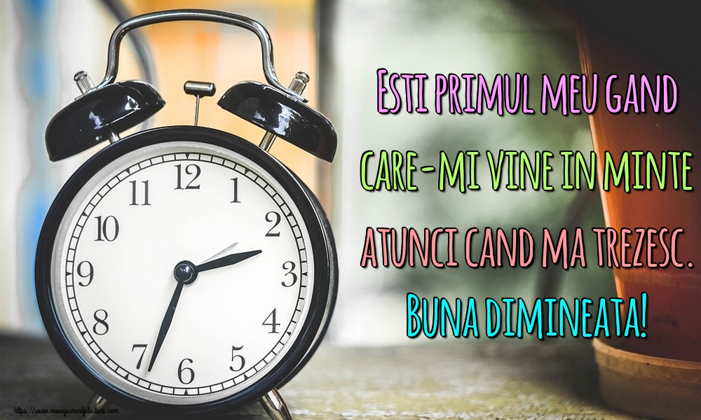 Felicitari de buna dimineata - Esti primul meu gand care-mi vine in minte atunci cand ma trezesc. Buna dimineata! - mesajeurarifelicitari.com