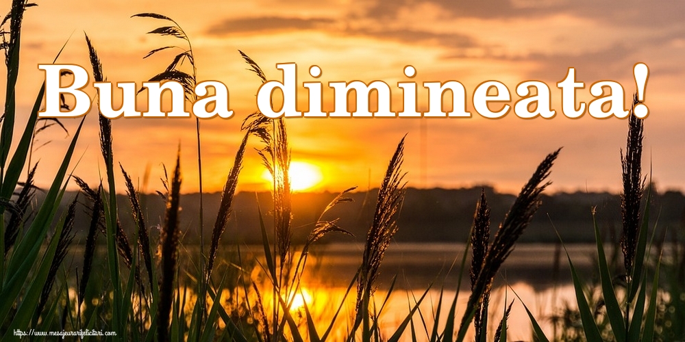 Buna dimineata!