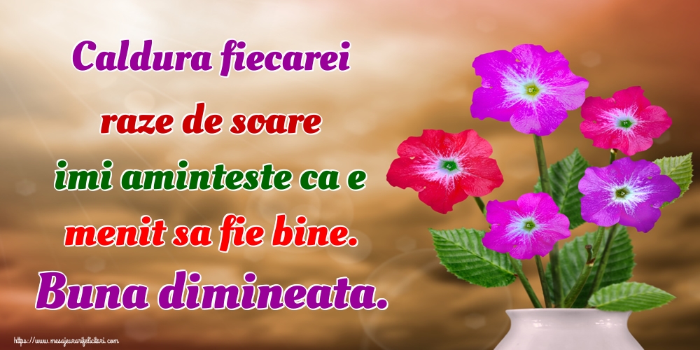 Felicitari de buna dimineata - Caldura fiecarei raze de soare imi aminteste ca e menit sa fie bine. Buna dimineata. - mesajeurarifelicitari.com